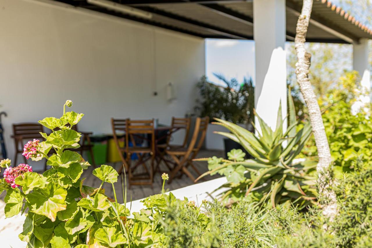 Monte Da Morena Agro-Turismo Serpa Exterior photo